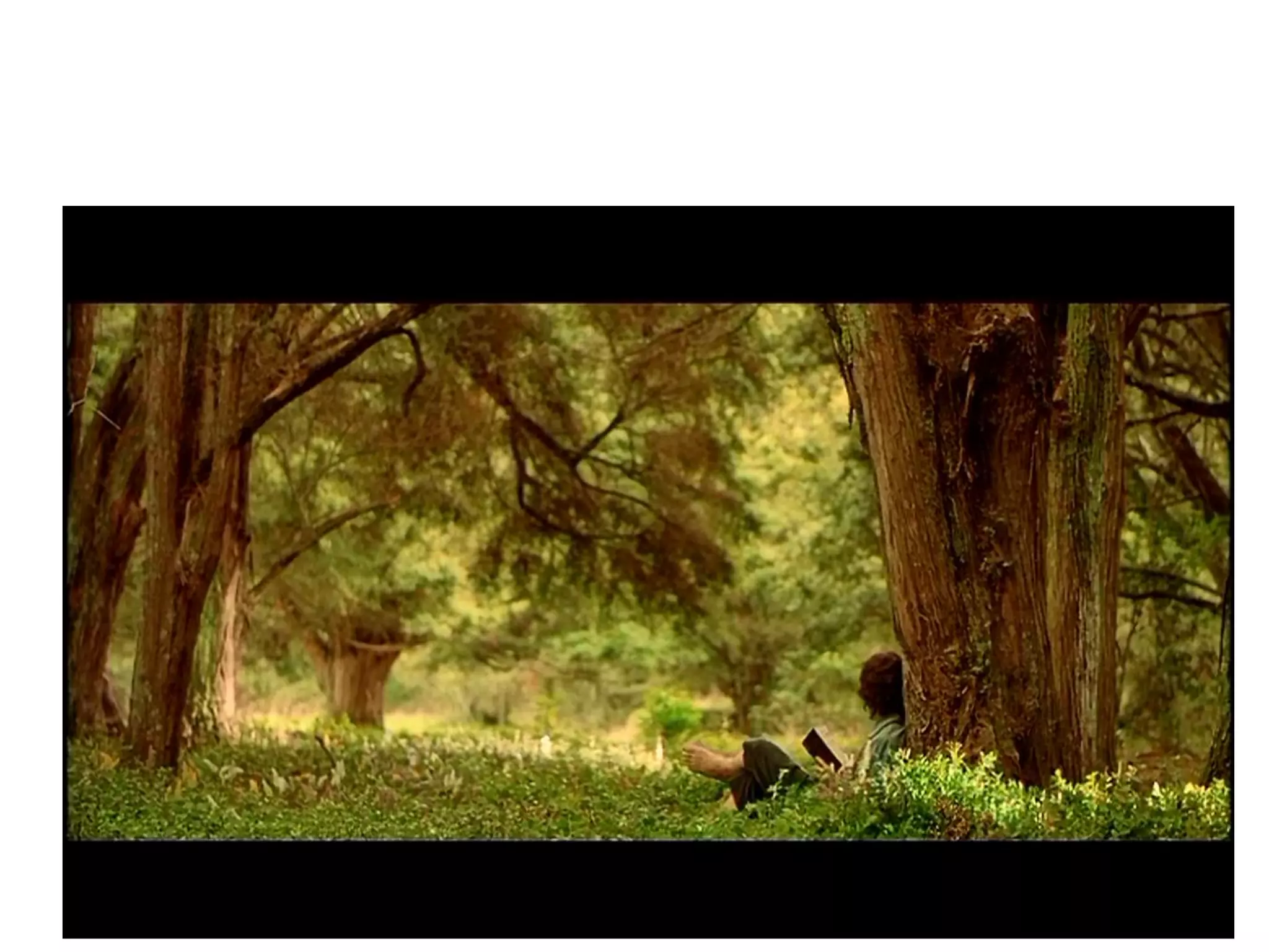 Placement of objects