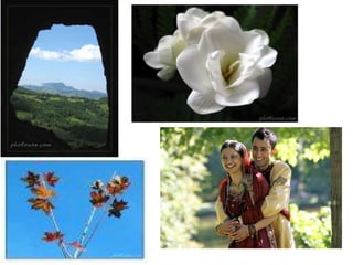 Placement of objects