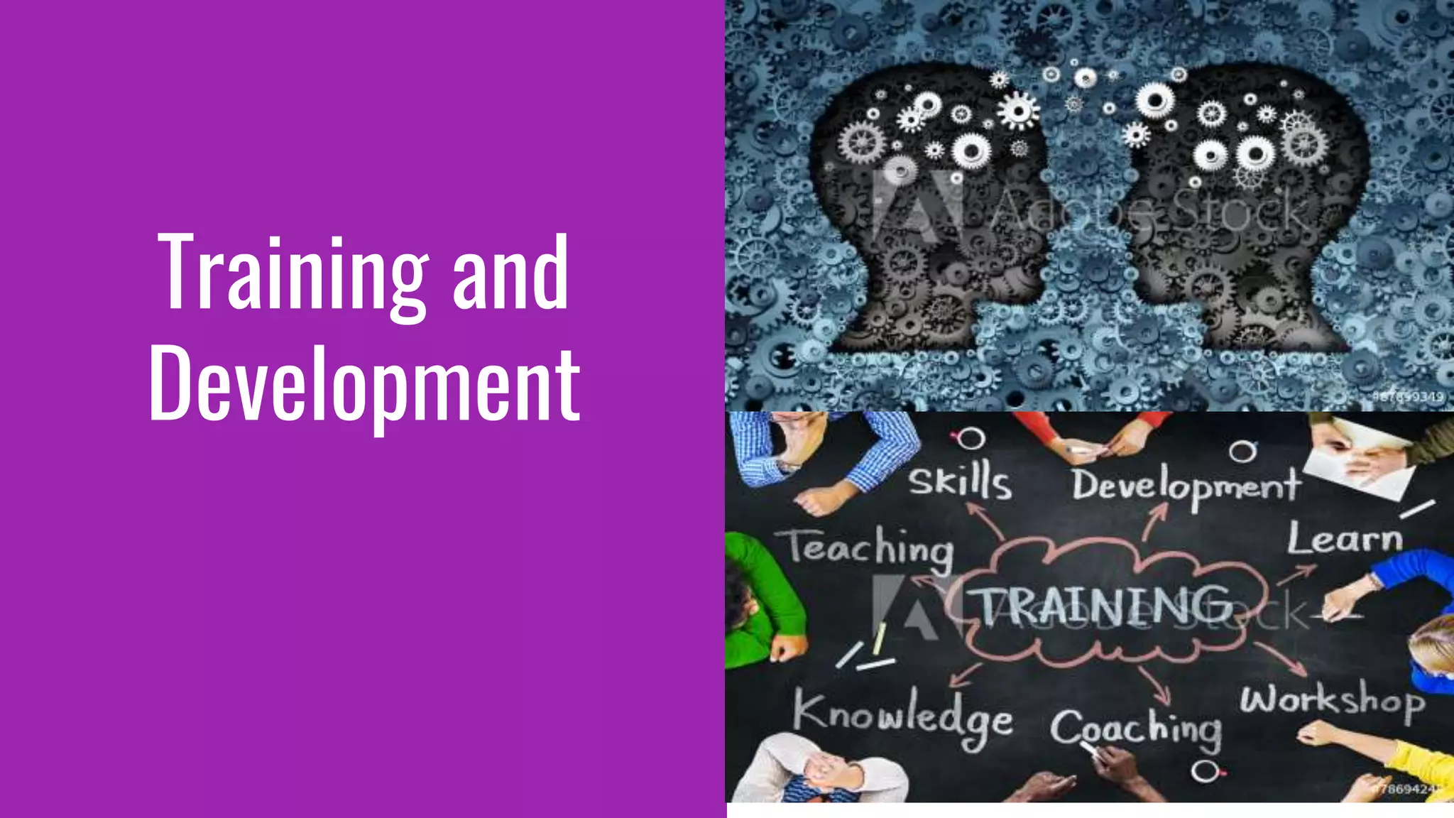 Training and
Development
 