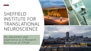 SHEFFIELD
INSTITUTE FOR
TRANSLATIONAL
NEUROSCIENCE
My placement year
experience as a Research
Technician at SITraN
https://oceangloberace.com/charity/
 