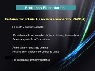 Proteína placentaria A asociada al embarazo (PAPP A) En el cito y sincitiotrofoblasto . Es inhibidora de la inmunidad, de las proteínas y la coagulación . Se eleva a partir de la 7ma semana. Aumentada en embarazo gemelar Ausente en el sindrome de Cornell de Lange Pre eclampsia y DM contradictorios. Proteínas Placentarias  