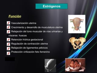 Vascularización uterina Crecimiento y desarrollo de musculatura uterina Relajación del tono muscular de vías urinarias y vísceras  huecas Retención hídrica gestacional Regulación de contracción uterina Relajación de ligamentos pélvicos Protección virilización feto femenino  Función Estrógenos 