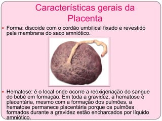 Características gerais da
Placenta
 Forma: discoide com o cordão umbilical fixado e revestido

pela membrana do saco amniótico.

 Hematose: é o local onde ocorre a reoxigenação do sangue

do bebê em formação. Em toda a gravidez, a hematose é
placentária, mesmo com a formação dos pulmões, a
hematose permanece placentária porque os pulmões
formados durante a gravidez estão encharcados por líquido
amniótico.

 