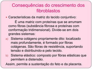 Consequências do crescimento dos
fibroblastos
 Características da matriz do tecido conjuntivo:

É uma matriz com proteínas que se arrumam
como fibras (substância fibrosa e proteínas com
conformação tridimensional). Divide-se em dois
grandes sistemas:
a) Sistema colágeno propriamente dito: localizado
mais profundamente, é formado por fibras
colágenas. São fibras de resistência, suportando
tensão e distribuindo-a pelo tecido.
b) Sistema elástico: composto por fibras elásticas que
permitem a distensão.
Assim, permite a sustentação do feto e da placenta.

 