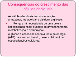 Consequências do crescimento das
células deciduais
As células deciduais tem como função:
armazenar, metabolizar e distribuir a glicose.

Por que há necessidade de uma célula
especializada nesta questão de armazenamento,
metabolização e distribuição?
A glicose é essencial, sendo a fonte de energia
(ATP) para o crescimento, desenvolvimento e
especializações celulares.

 