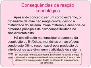 Consequências da reação
imunológica
Apesar do concepto ser um corpo estranho, o
organismo da mãe não reage contra, devido a
maturidade do sistema imune materno e ausência de
proteínas principais de histocompatibilidade no
sinciciotrofoblasto.
Há um infiltrado mononuclear e aumento da
população de linfócitos, monócitos e macrófagos –
sendo este último responsável pela produção de
interleucinas que diminuem a atividade do sistema
imune, ou seja, reduzem a atividade desse sistema:
Em situações normais, isto ocorre. Entretanto, há casos em que
o sistema imunológico
imunodepressão. da mãe é imaturo e a mulher é incapaz de
desenvolver uma gravidez devido ao ataque do sistema imune
ao concepto.

 