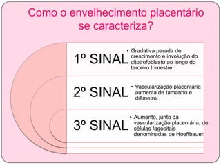 Como o envelhecimento placentário
se caracteriza?
• Gradativa parada de
crescimento e involução do
citotrofoblasto ao longo do
terceiro trimestre.

1º SINAL

2º SINAL

• Vascularização placentária
aumenta de tamanho e
diâmetro.

3º SINAL

• Aumento, junto da
vascularização placentária, de
células fagocitais
denominadas de Hoeffbauer.

 