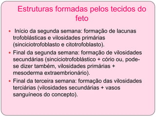 Estruturas formadas pelos tecidos do
feto
 Início da segunda semana: formação de lacunas

trofoblásticas e vilosidades primárias
(sinciciotrofoblasto e citotrofoblasto).
 Final da segunda semana: formação de vilosidades
secundárias (sinciciotrofoblástico + cório ou, podese dizer também, vilosidades primárias +
mesoderma extraembrionário).
 Final da terceira semana: formação das vilosidades
terciárias (vilosidades secundárias + vasos
sanguíneos do concepto).

 