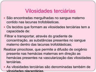 Vilosidades terciárias
 São encontradas mergulhadas no sangue materno

contido nas lacunas trofoblásticas.
 Os tecidos que formam as vilosidades terciárias tem a
capacidade de:
Filtrar e transportar, através do gradiente de
concentração, as substâncias presentes no sangue
materno dentro das lacunas trofoblásticas;
Realizar pinocitose, que permite a difusão de oxigênio
presente nas hemácias maternas em direção as
hemácias presentes na vascularização das vilosidades
terciárias.
 As vilosidades terciárias são denominadas também de

 