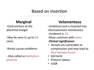 Based on insertion
Marginal
-Cord anchors at the
placental margin
-May be seen in up to 6%
cases
-Rarely causes problems
- Also called as Battledore
placenta
Velamentous
-Umbilical cord is inserted into
chorioamniotic membranes
-Incidence is 1%
-More common with twins
-Clinical significance:
• Vessels are vulnerable to
compression and may lead to
fetal hypoperfusion
• Still birth
• Preterm labour
• IUGR
 