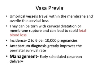 Vasa Previa
• Umbilical vessels travel within the membrane and
overlie the cervical loss
• They can be torn with cervical dilatation or
membrane rupture and can lead to rapid fetal
blood loss
• Incidence- 2 to 6 per 10,000 pregnancies
• Antepartum diagnosis greatly improves the
perinatal survival rate
• Management- Early scheduled cesarean
delivery
 