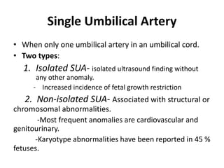 Single Umbilical Artery
• When only one umbilical artery in an umbilical cord.
• Two types:
1. Isolated SUA- isolated ultrasound finding without
any other anomaly.
- Increased incidence of fetal growth restriction
2. Non-isolated SUA- Associated with structural or
chromosomal abnormalities.
-Most frequent anomalies are cardiovascular and
genitourinary.
-Karyotype abnormalities have been reported in 45 %
fetuses.
 