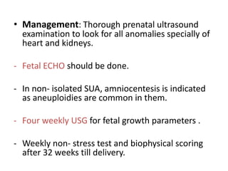 • Management: Thorough prenatal ultrasound
examination to look for all anomalies specially of
heart and kidneys.
- Fetal ECHO should be done.
- In non- isolated SUA, amniocentesis is indicated
as aneuploidies are common in them.
- Four weekly USG for fetal growth parameters .
- Weekly non- stress test and biophysical scoring
after 32 weeks till delivery.
 