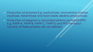 ➢ Production of enzymes E.g. oxytocinase, monoamino oxidase,
insulinase, histaminase and heat stable alkaline phosphatase.
➢ Production of pregnancy associated plasma proteins(PAPP)
E.g. PAPP-A, PAPP-B, PAPP-C, PAPP-D and PP5.The exact
function of these proteins are not defined.
 
