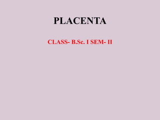 PLACENTA
CLASS- B.Sc. I SEM- II
 