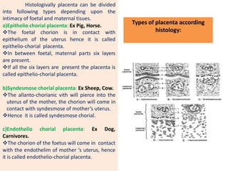 Placenta | PPTX