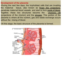 Placenta | PPTX