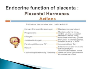 PLACENTA.pptx