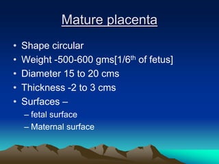 Mature placenta
• Shape circular
• Weight -500-600 gms[1/6th of fetus]
• Diameter 15 to 20 cms
• Thickness -2 to 3 cms
• Surfaces –
– fetal surface
– Maternal surface
 