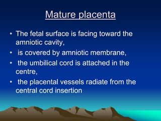 Mature placenta
• The fetal surface is facing toward the
amniotic cavity,
• is covered by amniotic membrane,
• the umbilical cord is attached in the
centre,
• the placental vessels radiate from the
central cord insertion
 