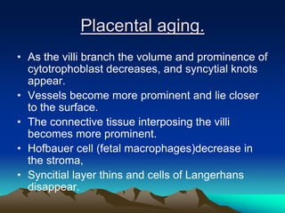 Placental aging.
• As the villi branch the volume and prominence of
cytotrophoblast decreases, and syncytial knots
appear.
• Vessels become more prominent and lie closer
to the surface.
• The connective tissue interposing the villi
becomes more prominent.
• Hofbauer cell (fetal macrophages)decrease in
the stroma,
• Syncitial layer thins and cells of Langerhans
disappear.
 