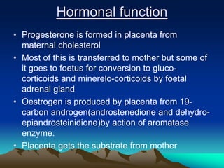 Hormonal function
• Progesterone is formed in placenta from
maternal cholesterol
• Most of this is transferred to mother but some of
it goes to foetus for conversion to gluco-
corticoids and minerelo-corticoids by foetal
adrenal gland
• Oestrogen is produced by placenta from 19-
carbon androgen(androstenedione and dehydro-
epiandrosteinidione)by action of aromatase
enzyme.
• Placenta gets the substrate from mother
 