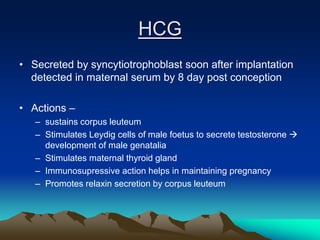 HCG
• Secreted by syncytiotrophoblast soon after implantation
detected in maternal serum by 8 day post conception
• Actions –
– sustains corpus leuteum
– Stimulates Leydig cells of male foetus to secrete testosterone 
development of male genatalia
– Stimulates maternal thyroid gland
– Immunosupressive action helps in maintaining pregnancy
– Promotes relaxin secretion by corpus leuteum
 