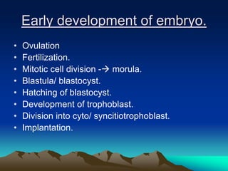 Early development of embryo.
• Ovulation
• Fertilization.
• Mitotic cell division - morula.
• Blastula/ blastocyst.
• Hatching of blastocyst.
• Development of trophoblast.
• Division into cyto/ syncitiotrophoblast.
• Implantation.
 