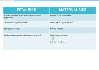 Placenta and placental anomalies and cord anomalies.pptx