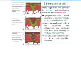 Placenta and placental anomalies and cord anomalies.pptx
