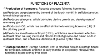 Embryological Development of the Placenta | PPTX