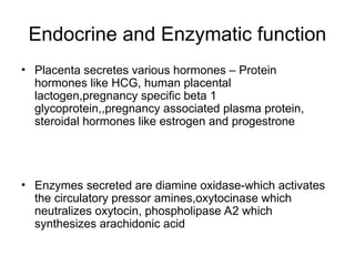 The human Placenta PowerPoint Presentation.ppt