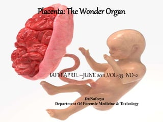 Placenta: The Wonder Organ
IAFM APRIL –JUNE 2011,VOL-33 NO-2
Dr.Nafeeya
Department Of Forensic Medicine & Toxicology
 