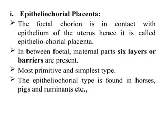 Chorial Comprehensive Study of Placenta Types, Functions, and Classifications ...