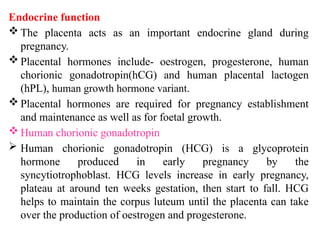 Comprehensive Study of Placenta Types, Functions, and Classifications ...