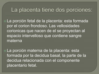  Laporción fetal de la placenta: esta formada
 por el corion frondoso. Las vellosidades
 corionicas que nacen de el se proyectan al
 espacio intervelloso que contiene sangre
 materna

 Laporción materna de la placenta: esta
 formada por la decidua basal, la parte de la
 decidua relacionada con el componente
 placentario fetal.
 