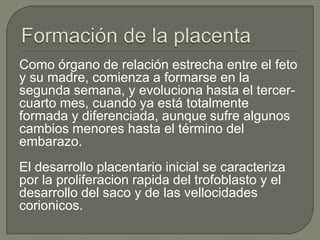 Como órgano de relación estrecha entre el feto
y su madre, comienza a formarse en la
segunda semana, y evoluciona hasta el tercer-
cuarto mes, cuando ya está totalmente
formada y diferenciada, aunque sufre algunos
cambios menores hasta el término del
embarazo.
El desarrollo placentario inicial se caracteriza
por la proliferacion rapida del trofoblasto y el
desarrollo del saco y de las vellocidades
corionicos.
 