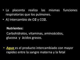 • La placenta realiza las mismas funciones
respiratorias que los pulmones.
• A) Intercambio de O2 y CO2.
Nutrientes:
Carbohidratos, vitaminas, aminoácidos,
glucosa y ácidos grasos.
• Agua es el producto intercambiado con mayor
rapidez entre la sangre materna y la fetal
 