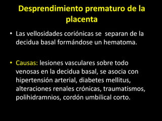 Desprendimiento prematuro de la
placenta
• Las vellosidades coriónicas se separan de la
decidua basal formándose un hematoma.
• Causas: lesiones vasculares sobre todo
venosas en la decidua basal, se asocia con
hipertensión arterial, diabetes mellitus,
alteraciones renales crónicas, traumatismos,
polihidramnios, cordón umbilical corto.
 
