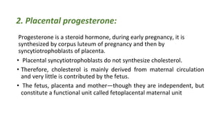 Placenta 2025-2026 and the endocrine function of placenta | PDF