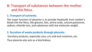 Placenta 2025-2026 and the endocrine function of placenta | PDF