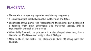 Placenta 2025-2026 and the endocrine function of placenta | PDF