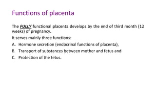 Placenta 2025-2026 and the endocrine function of placenta | PDF