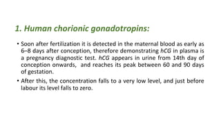 Placenta 2025-2026 and the endocrine function of placenta | PDF