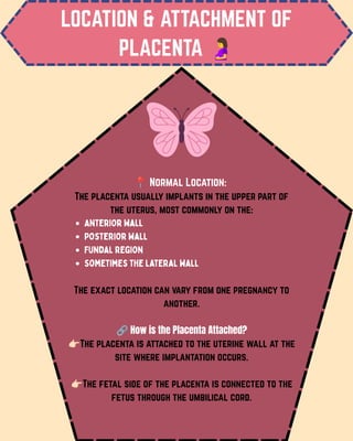LOCATION & ATTACHMENT OF
PLACENTA 🤰
📍Normal Location:
The placenta usually implants in the upper part of
the uterus, most commonly on the:
Anterior wall
Posterior wall
Fundal region
Sometimes the lateral wall
The exact location can vary from one pregnancy to
another.
🔗How is the Placenta Attached?
👉🏻The placenta is attached to the uterine wall at the
site where implantation occurs.
👉🏻The fetal side of the placenta is connected to the
fetus through the umbilical cord.
 