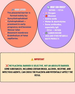 🧬MAIN LAYERS:
The placental barrier is
formed mainly by:
Syncytiotrophoblast
Cytotrophoblast —
prominent in early
pregnancy and becomes
thinner later
Basement membrane
Endothelium of fetal
capillaries.
🔄WHAT CAN CROSS?
Mother →Fetus:
🫁Oxygen
🍎Glucose
Amino acids
Water & electrolytes
Some antibodies,
especially IgG
Fetus →Mother
♻️Carbon dioxide
Urea and other metabolic
waste products
⚠️IMPORTANT
❌The placental barrier is selective, not an absolute barrier.
Some substances, including certain drugs, alcohol, nicotine, and
infectious agents, can cross the placenta and potentially affect the
fetus.
 