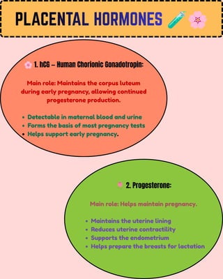 PLACENTAL HORMONES 🧪🌸
PLACENTAL HORMONES
PLACENTAL HORMONES
🌸1. hCG — Human Chorionic Gonadotropin:
Main role: Maintains the corpus luteum
during early pregnancy, allowing continued
progesterone production.
Detectable in maternal blood and urine
Forms the basis of most pregnancy tests
Helps support early pregnancy.
🌷2. Progesterone:
Main role: Helps maintain pregnancy.
Maintains the uterine lining
Reduces uterine contractility
Supports the endometrium
Helps prepare the breasts for lactation
 