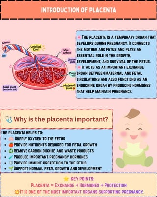 Introduction of placenta
🌸The placenta is a temporary organ that
develops during pregnancy. It connects
the mother and fetus and plays an
essential role in the growth,
development, and survival of the fetus.
🌸It acts as an important exchange
organ between maternal and fetal
circulations and also functions as an
endocrine organ by producing hormones
that help maintain pregnancy.
⭐key points:
Placenta = Exchange + Hormones + Protection
💥It is one of the most important organs supporting pregnancy.
key points:
key points:
Placenta = Exchange + Hormones + Protection
Placenta = Exchange + Hormones + Protection
It is one of the most important organs supporting pregnancy
It is one of the most important organs supporting pregnancy
🩺Why is the placenta important?
The placenta helps to:
🫁Supply oxygen to the fetus
🍎Provide nutrients required for fetal growth
♻️Remove carbon dioxide and waste products
🧪Produce important pregnancy hormones
🛡️Provide immune protection to the fetus
🌱Support normal fetal growth and development
 