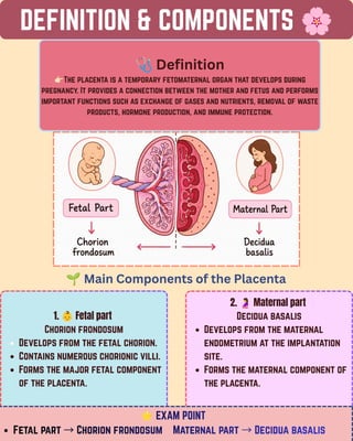 DEFINITION & COMPONENTS 🌸
🩺Definition
👉🏻The placenta is a temporary fetomaternal organ that develops during
pregnancy. It provides a connection between the mother and fetus and performs
important functions such as exchange of gases and nutrients, removal of waste
products, hormone production, and immune protection.
1. 👶Fetal part
Chorion frondosum
Develops from the fetal chorion.
Contains numerous chorionic villi.
Forms the major fetal component
of the placenta.
🌱Main Components of the Placenta
2. 🤰Maternal part
Decidua basalis
Develops from the maternal
endometrium at the implantation
site.
Forms the maternal component of
the placenta.
⭐EXAM POINT
Fetal part →Chorion frondosum Maternal part →Decidua basalis
EXAM POINT
EXAM POINT
Fetal part →Chorion frondosum Maternal part →Decidua basalis
Fetal part →Chorion frondosum Maternal part →Decidua basalis
 