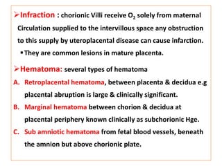 Subchorionic Infarct placenta%20MD.pptx